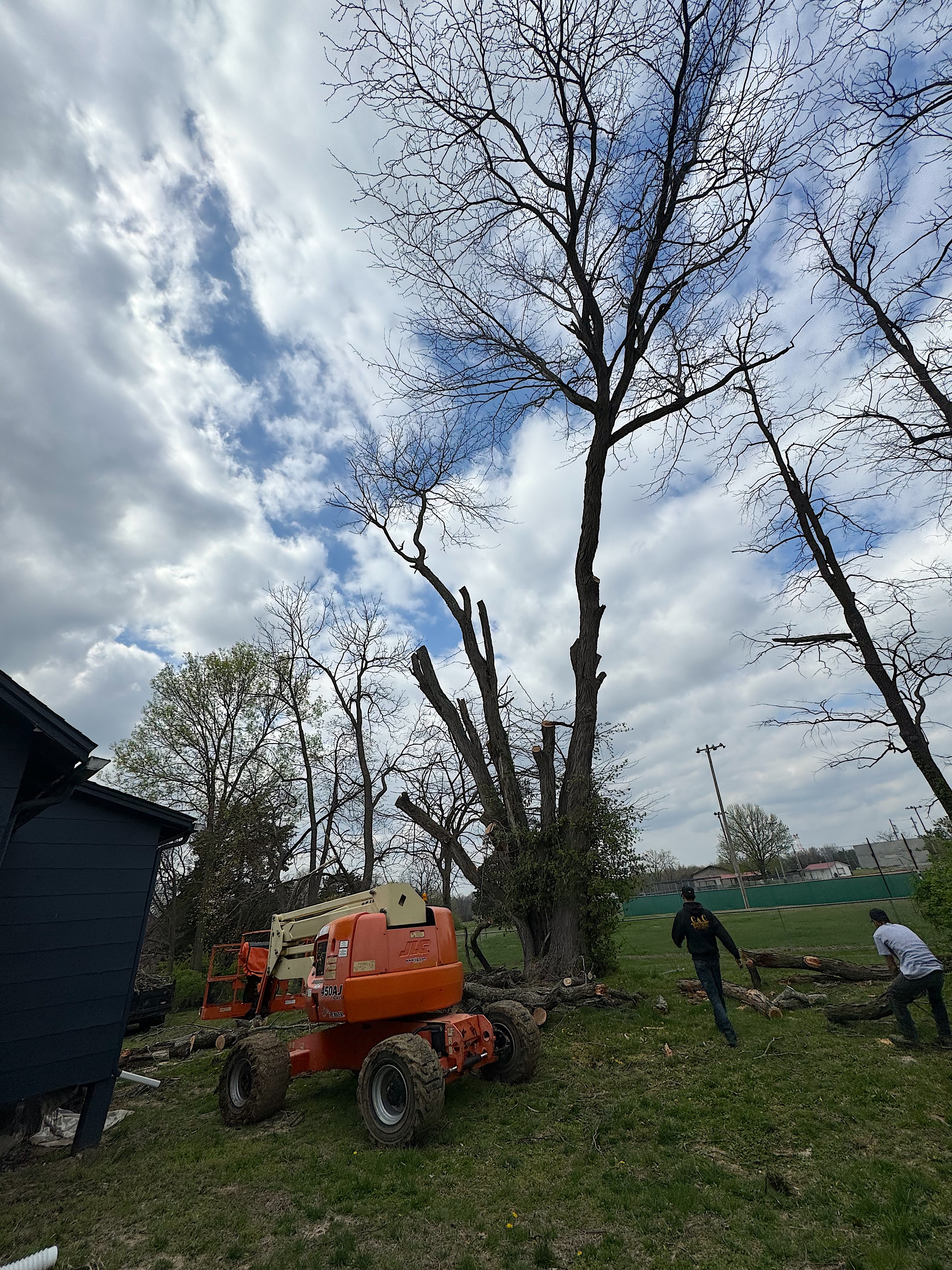 Storm cleanup